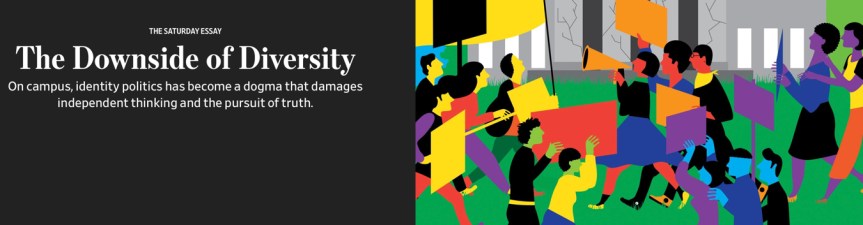 downside of diversity